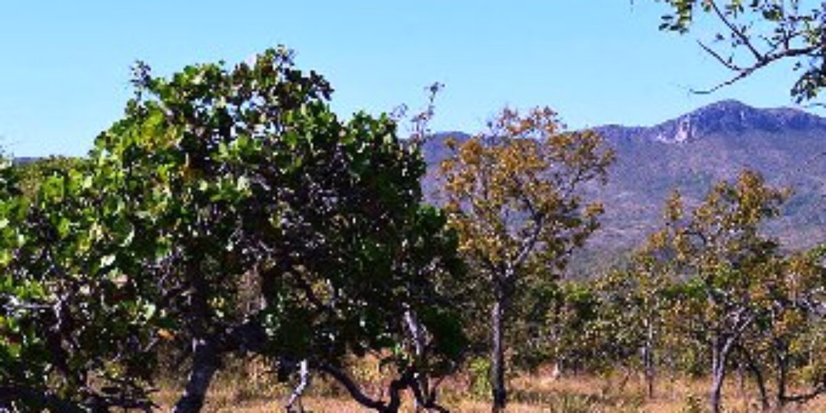 Secima promove Ciclo de Palestras para debater a Reserva da Biosfera do Cerrado