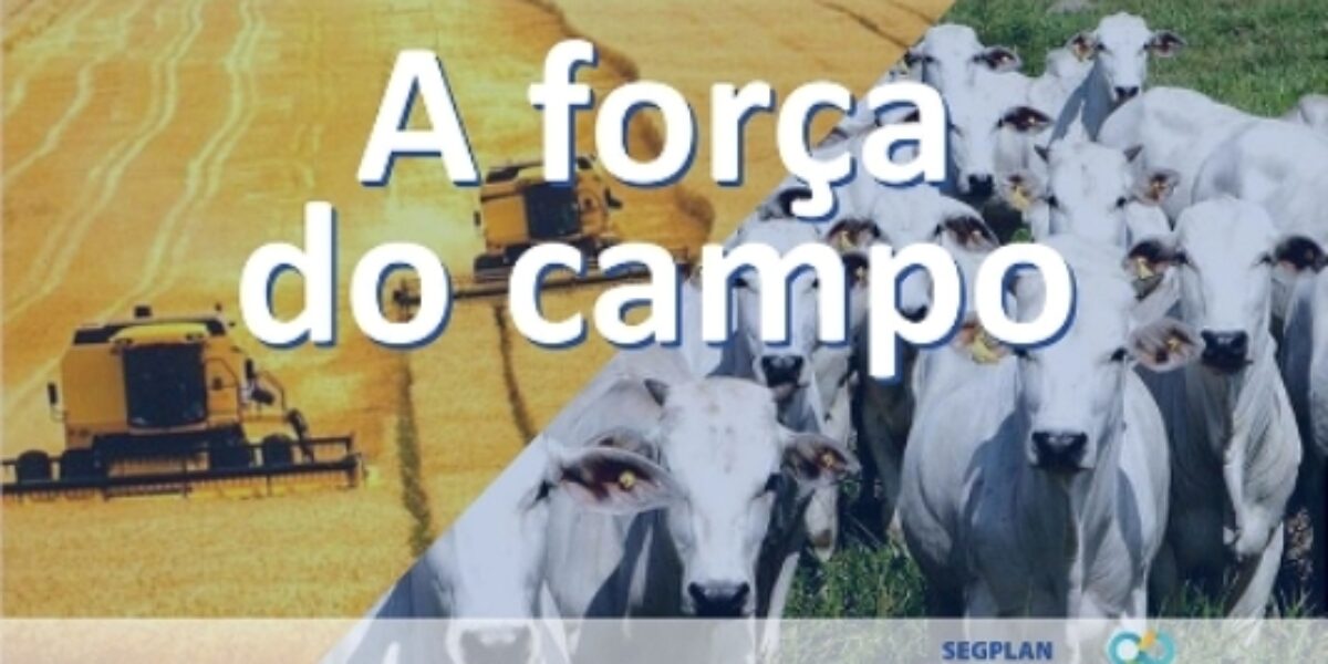 Agropecuária é fonte de geração de empregos em Goiás