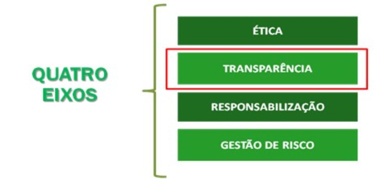 Goiás mais transparente