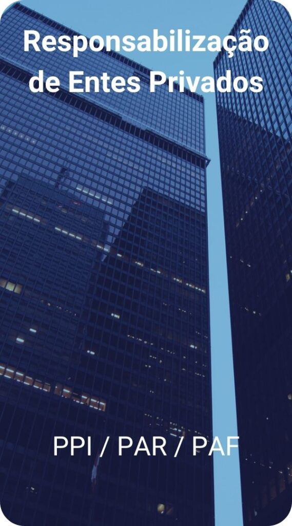 02-responsabilizacao-de-entes-privados