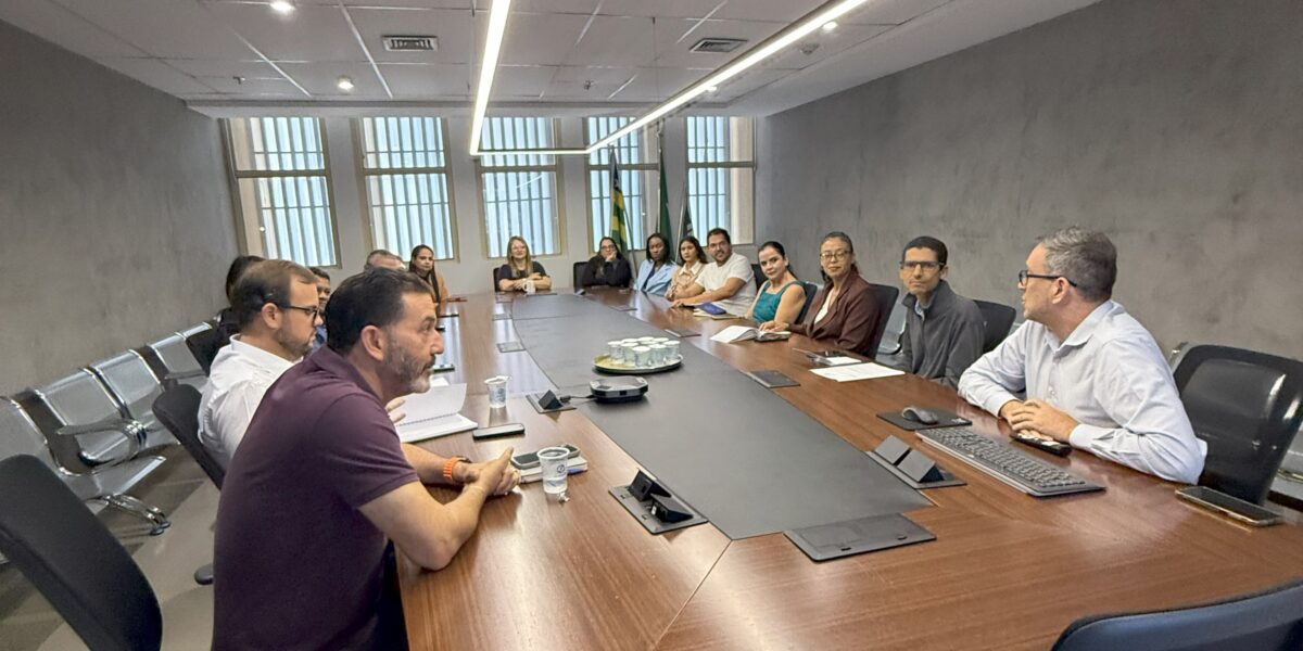 CGE promove discussão sobre segurança de pedestres no entorno do Palácio