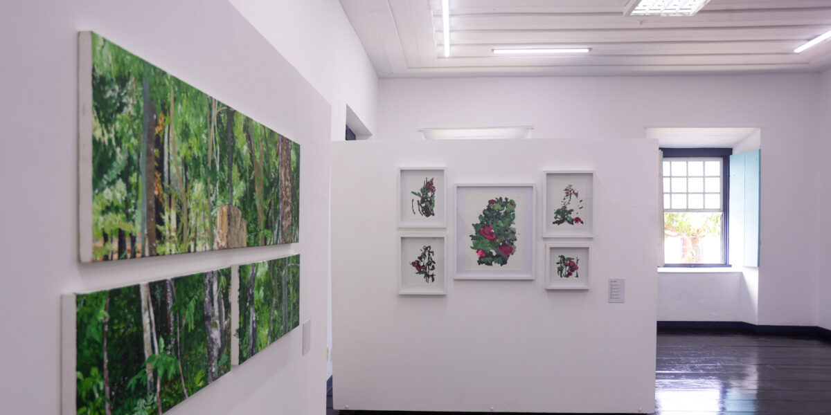 Fica 2025 amplia reflexões sobre o Cerrado e a produção artística no Estado