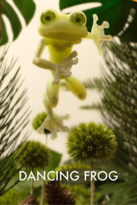 520956-dancing-frog-0-230-0-345-crop