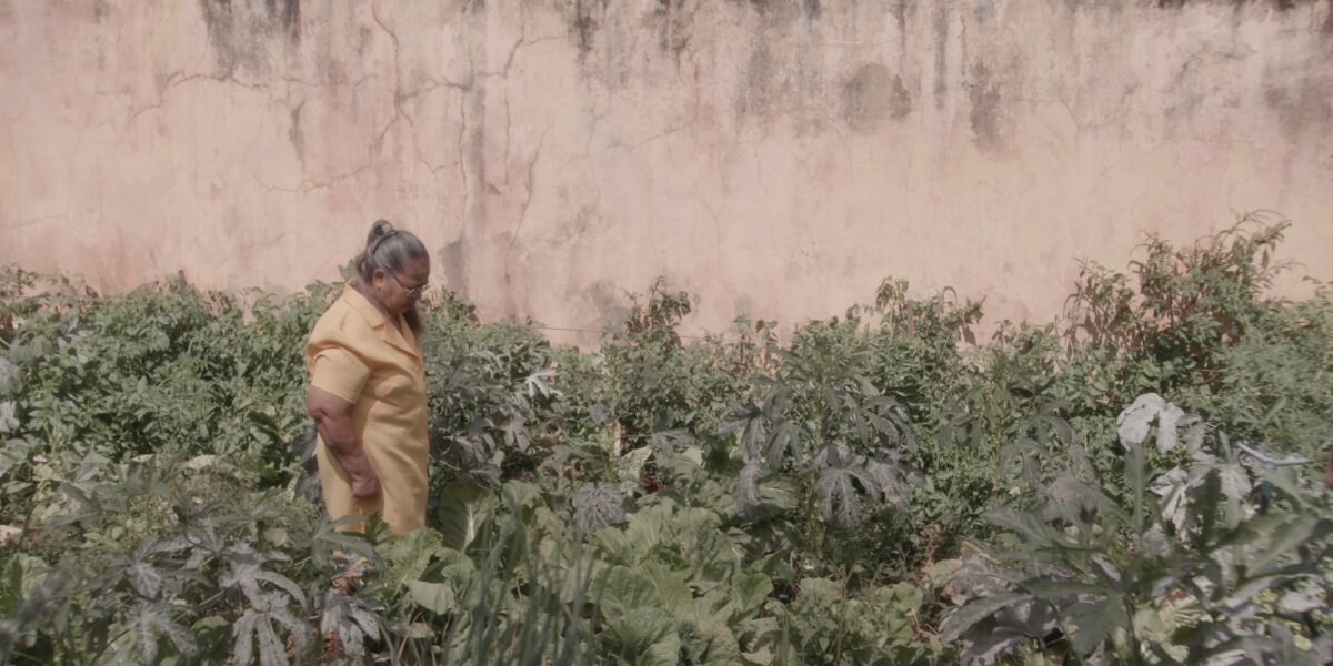 Curta goiano “A Curva do Rio” estreia no 20º Madagascourt Film Festival, em Madagascar