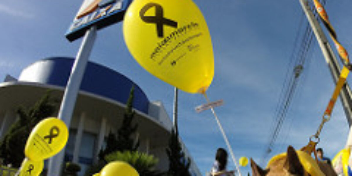 Cãominhada alerta para o transporte seguro de animais