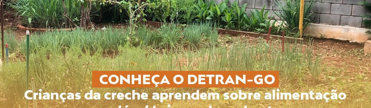 Crianças da creche aprende sobre alimentação saudável brincando na horta