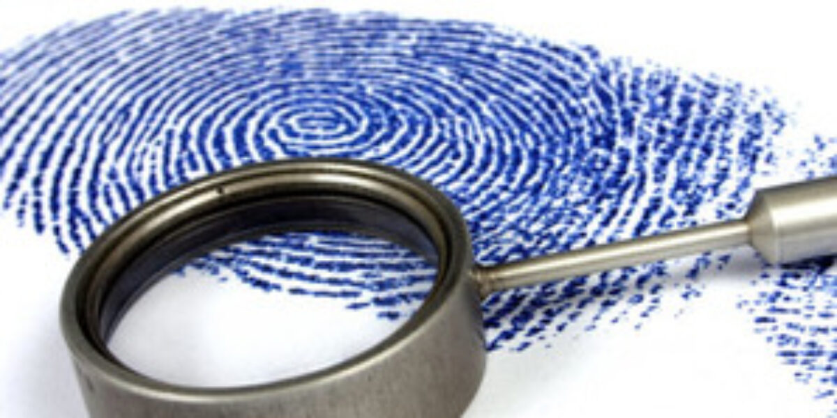 Investigação da Dercap foi solicitada pelo Detran-GO