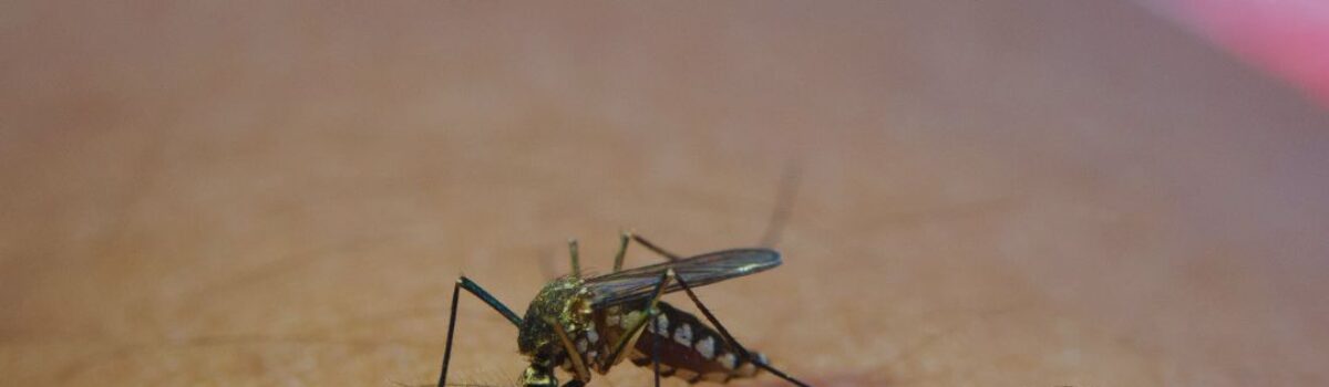 Patrulha Detran reforça o combate ao mosquito da dengue