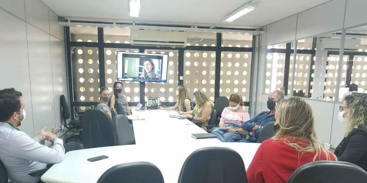 Monitoramento da execução do Plano de Ação para a Gestão de Riscos em 2021 é pauta de reunião na Economia