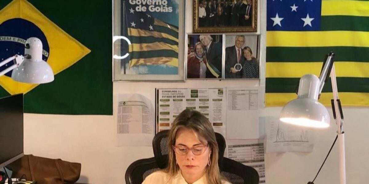 Cristiane Schmidt  defendeu Reforma Tributária ampla  em  webinar da FGV