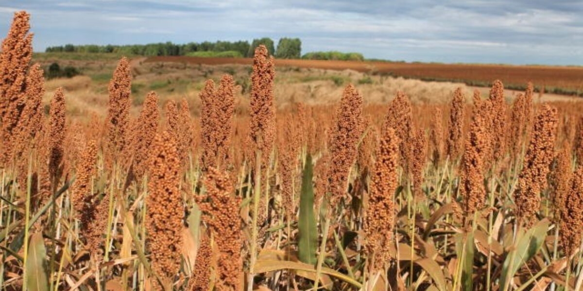 Goiás amplia incentivo à energia renovável