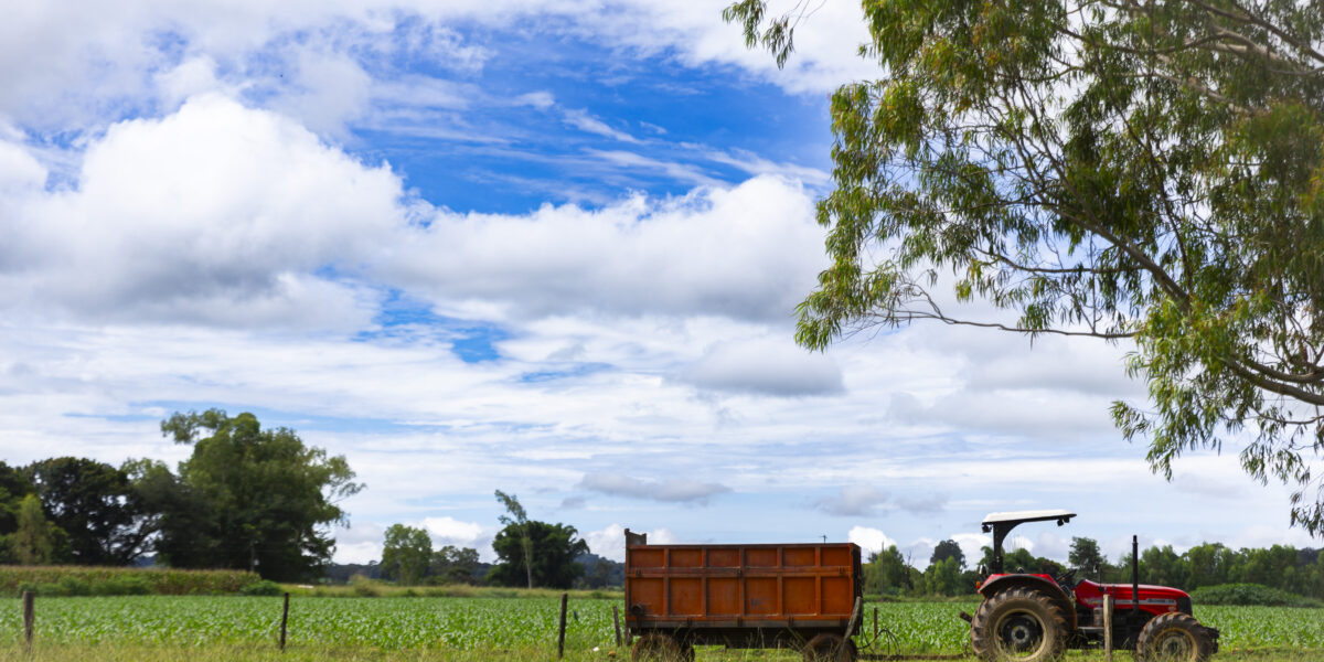 Economia detecta constituição desnecessária de CNPJ por produtores rurais​