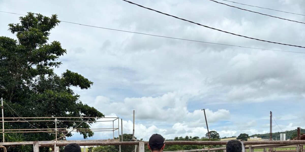 Operação investiga esquema de R$ 190 milhões em sonegação no setor de carnes