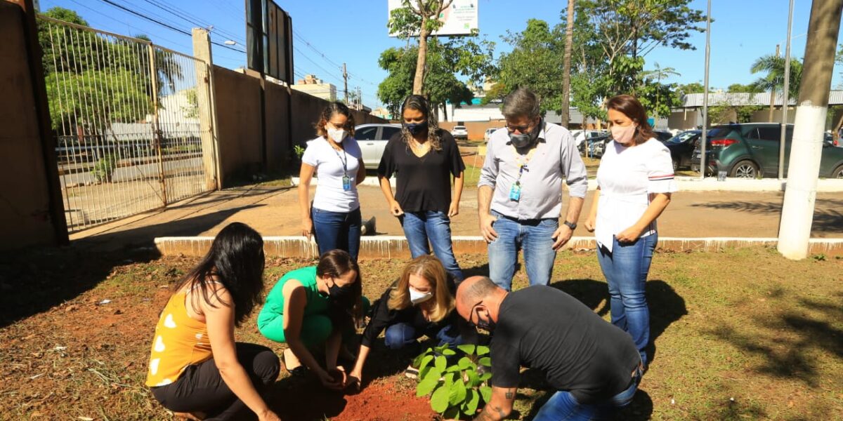 Seduc Goiás promove plantio de árvores dentro do Programa Jovem Senador