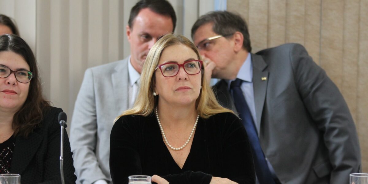 Secretária Fátima Gavioli destaca importância do Compromisso Nacional pela Educação Básica