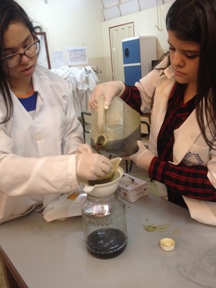Estudantes do Cepi Dom Veloso produzem moluscicida com pequi