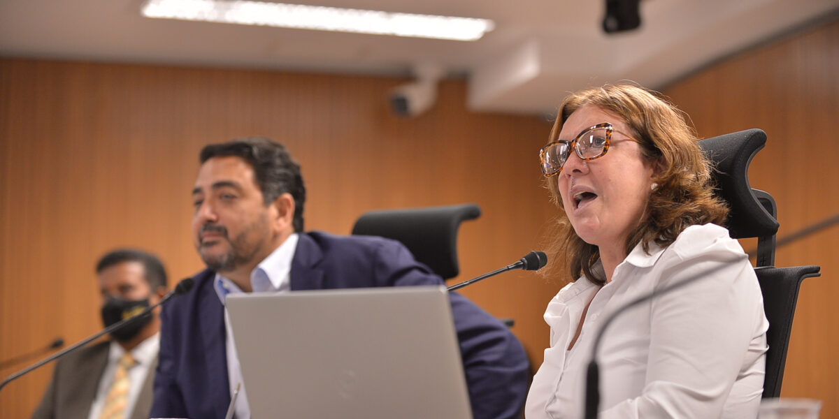 Em audiência pública com a Comissão de Educação da Alego, secretária apresenta balanço da Educação Especial em Goiás