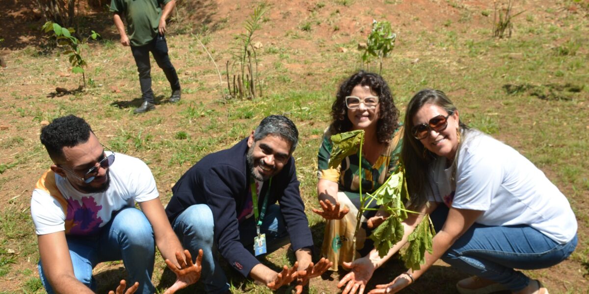 Plantio de mudas do Cerrado em Hidrolândia marca o lançamento do Movimento Pelo Cerrado 2023