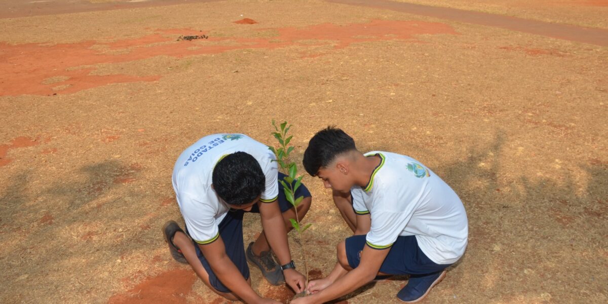 Em comemoração ao Dia da Árvore, mudas de Ipês e árvores frutíferas são plantadas durante a 4ª edição do Projeto Seduc Cerrado