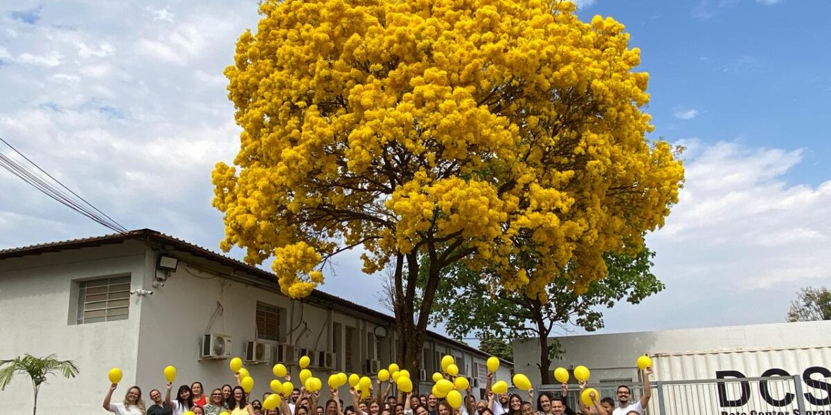 Seduc Goiás promove Ginástica Laboral da Alegria e leva bem-estar aos servidores dentro das ações da campanha Setembro Amarelo
