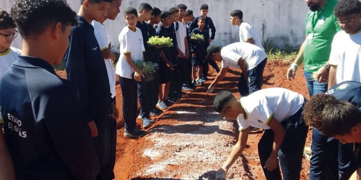 Estudantes do colégio cora coralina desenvolvem horta com uso de tecnologia sustentável