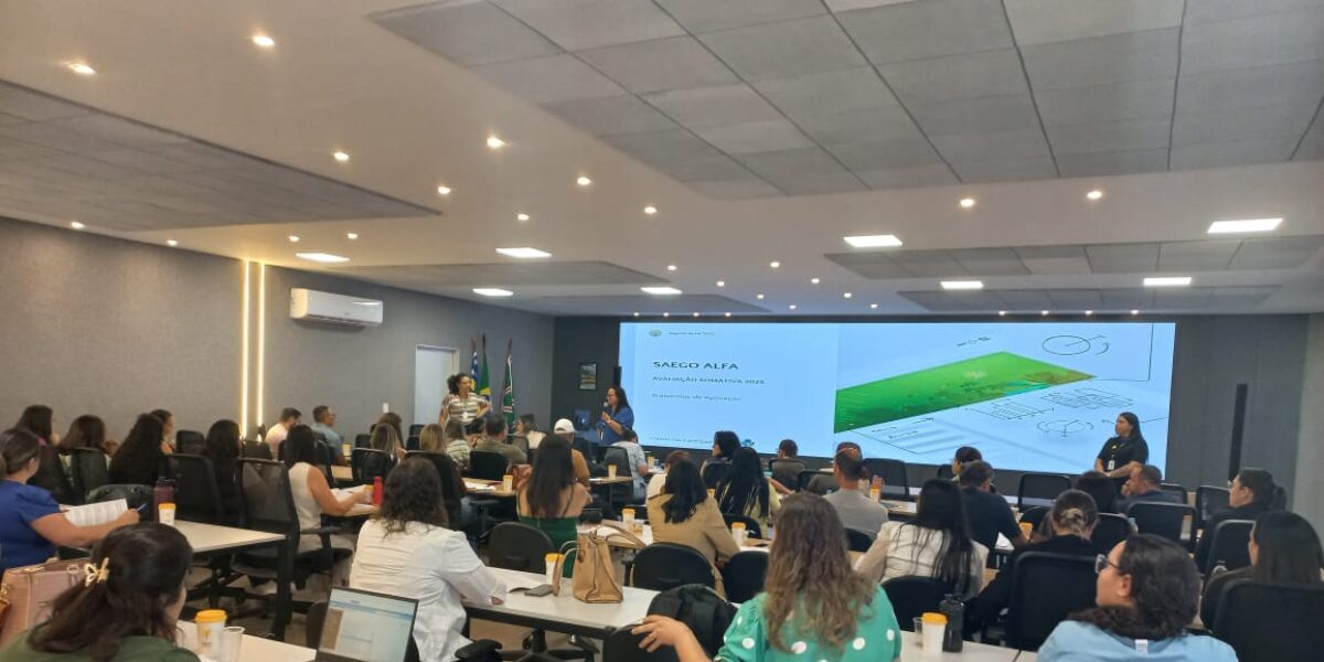 Aplicação do Saego ALFA é tema de capacitação promovida pela Secretaria Estadual da Educação