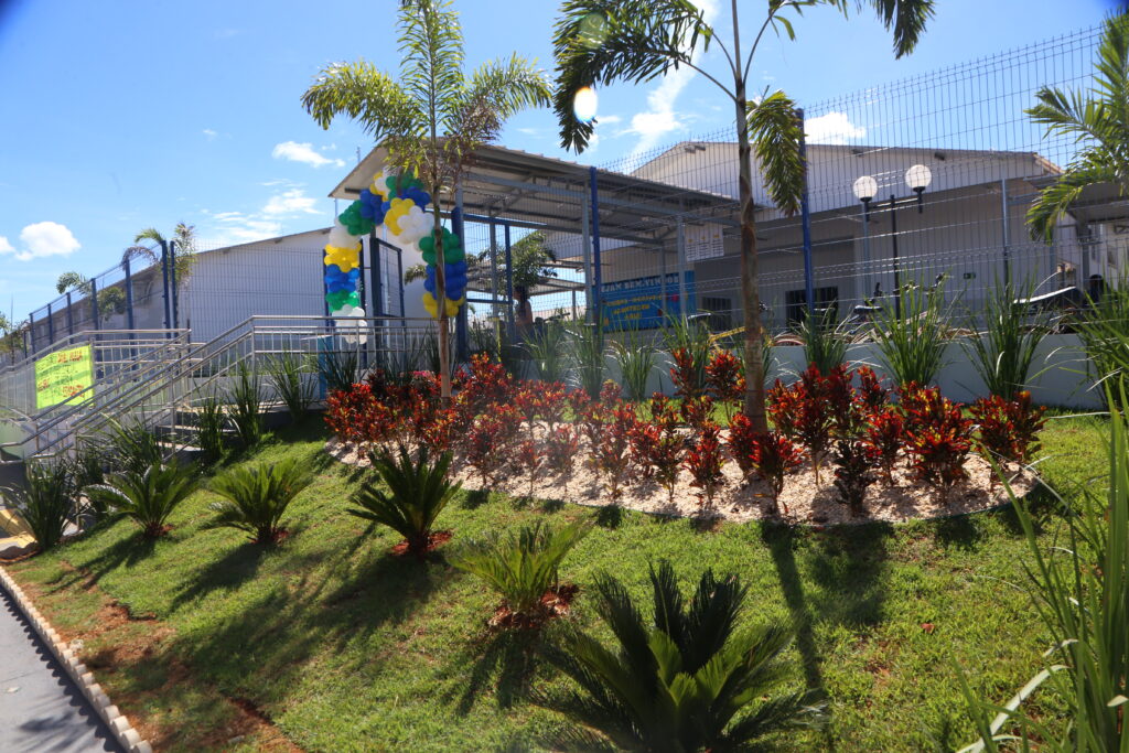 Image 15