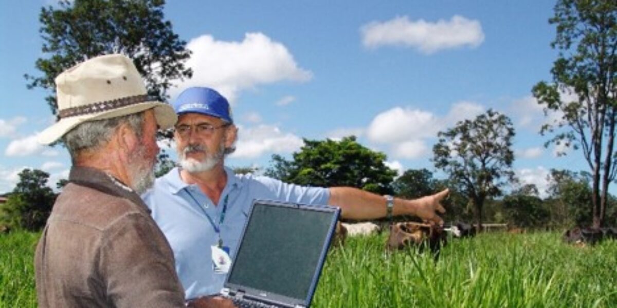 Rede de Inovação Rural