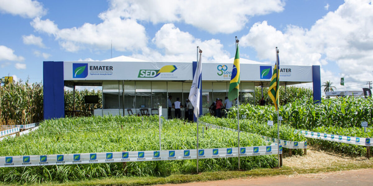 Selo de Inovação Rural