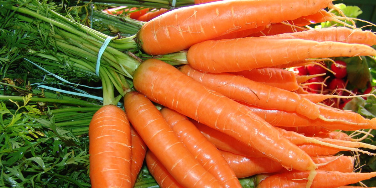 Agroecologia: Emater difunde cultura de orgânicos em Goiás