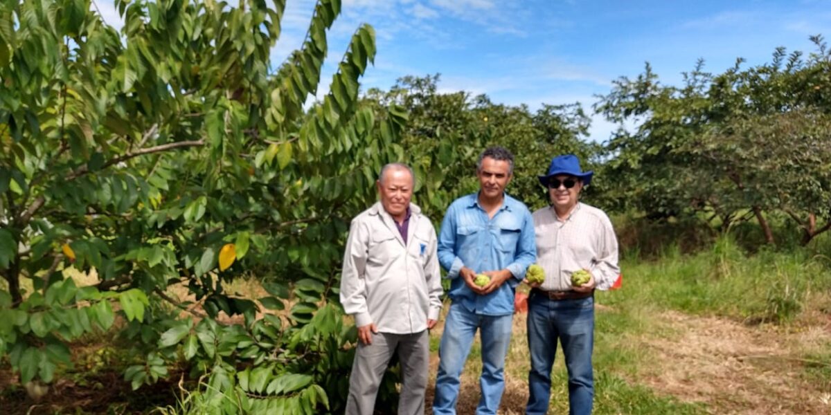 Estação da Emater referência em cultura orgânica recebe visita de produtores em Anápolis