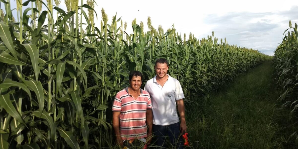 Ipiranga de Goiás recebe Dia de Campo com práticas voltadas ao manejo do gado leiteiro
