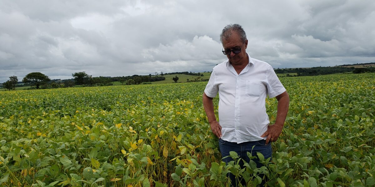 Bela Vista de Goiás recebe Dia de Campo sobre tecnologia ILP – Integração Lavoura Pecuária