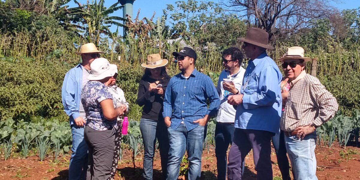 Emater avança em projeto que visa difundir agroecologia em Anápolis