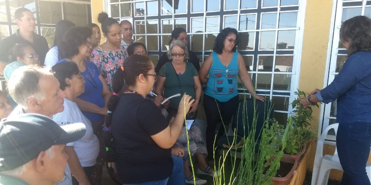 Curso de plantas medicinais leva conhecimento prático a Cidade Ocidental