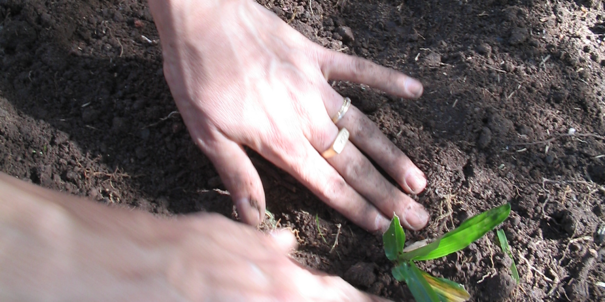 Anápolis recebe oficina de avaliação de agroecossistemas na próxima sexta-feira (09)