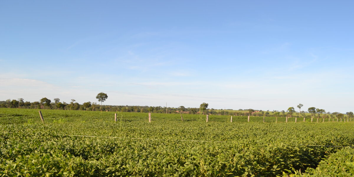Prazo para entrega da Declaração do Imposto sobre a Propriedade Rural termina na próxima segunda-feira (30)