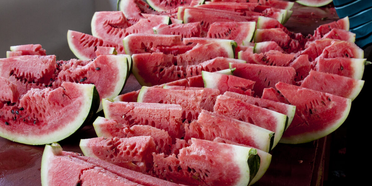 Emater tem estande na Festa da Melancia, que começa nesta quinta-feira (26) em Uruana