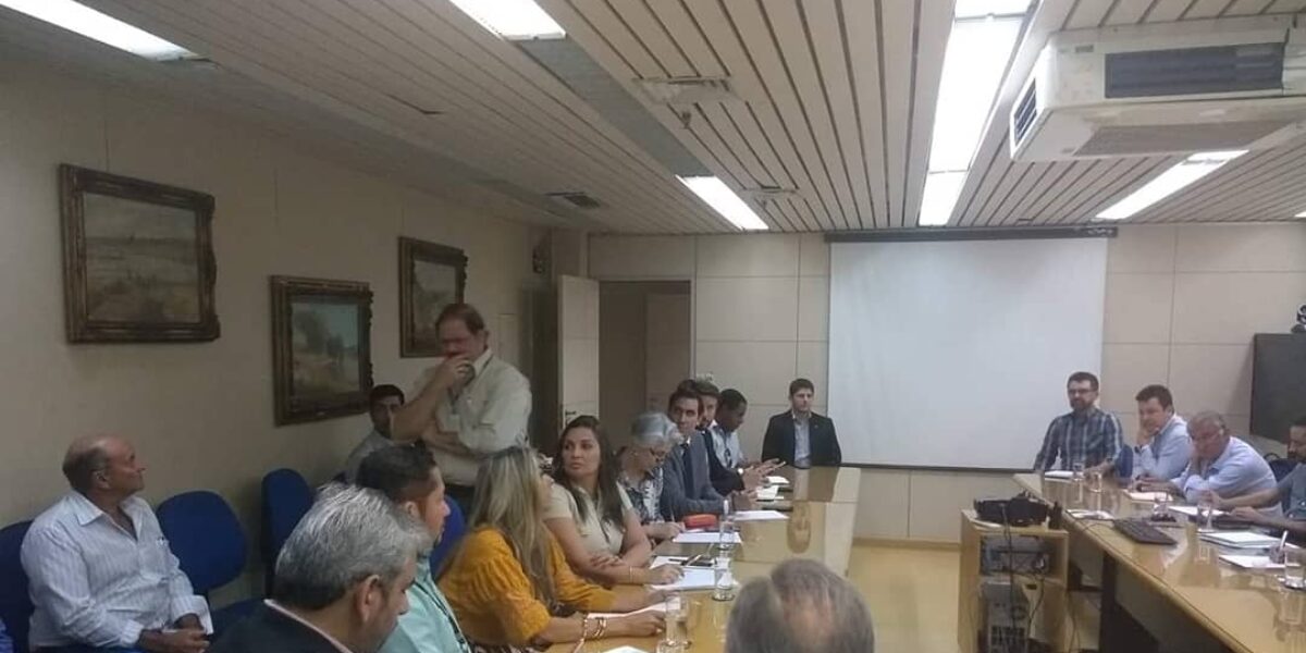 Reunião define estratégias para criação da Rota da Fruticultura no DF e Entorno