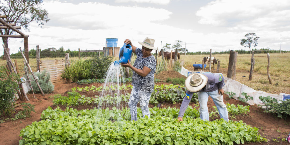 Mineiros recebe mais um módulo do Curso de Agroecologia neste sábado (19)