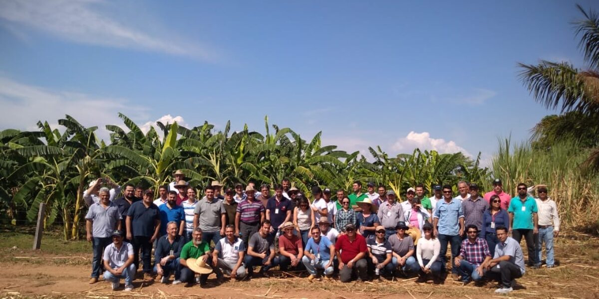 Em semana intensa, Emater realiza cursos de capacitação e visitas técnicas no interior de Goiás e capital