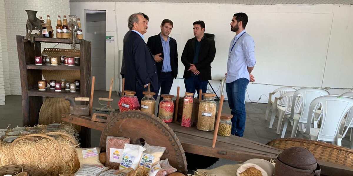 Emater promove palestras e oficinas na 56ª Exposição Agropecuária de Goiânia a partir desta segunda-feira (07)