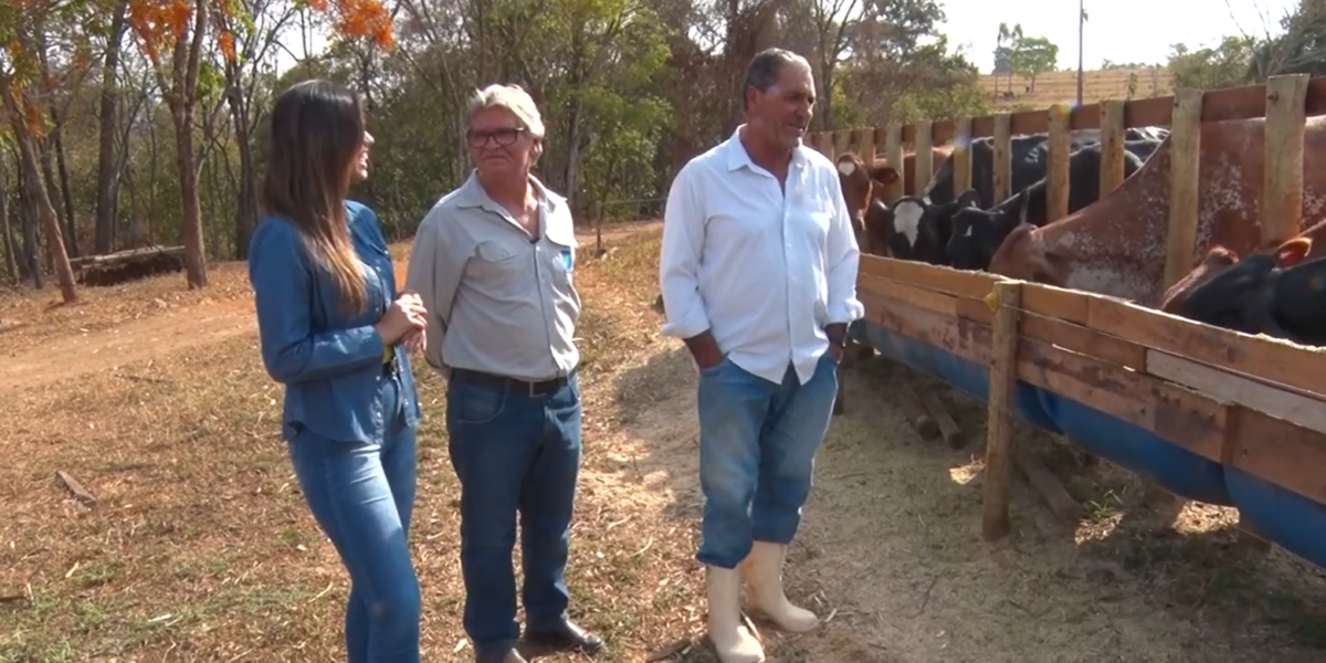 Produtor assistido pela Emater investe em tecnologia e aumenta produção em 20%; assista reportagem