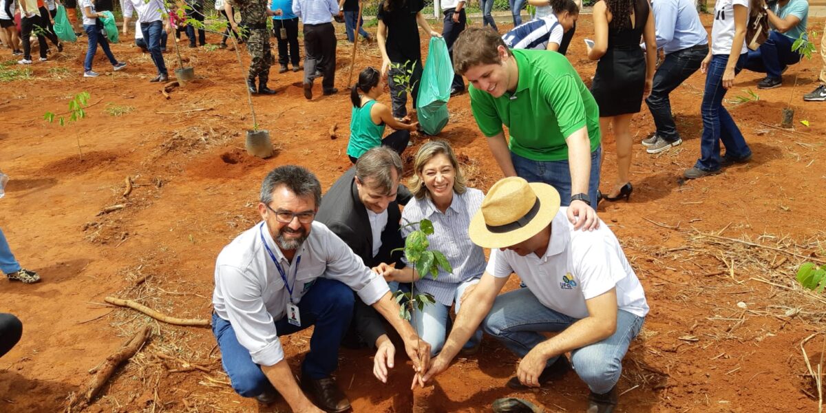 Virada Ambiental promove plantio de mil mudas de árvores por município em Goiás nesta sexta-feira (22)