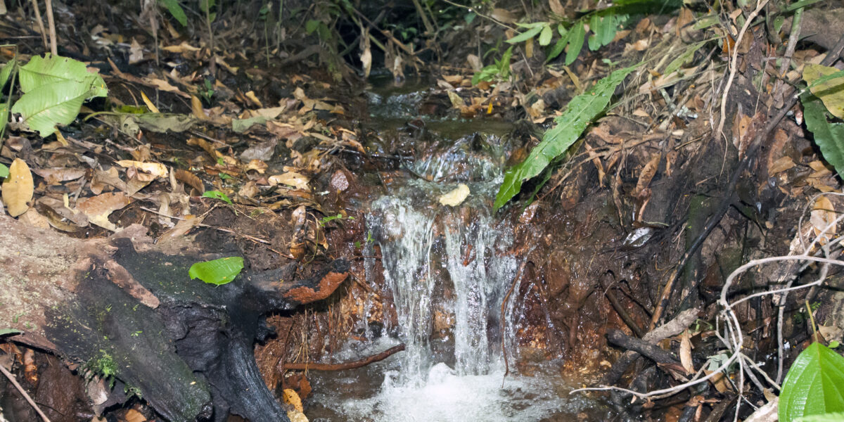 Emater debate gestão de solo e água em bacias hidrográficas durante XXII Simpósio Ambientalista Brasileiro no Cerrado