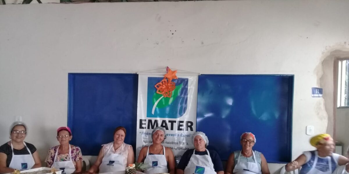 Curso de Pratos Natalinos oferecido pela Emater viabiliza complementação de renda de produtoras rurais de Luziânia