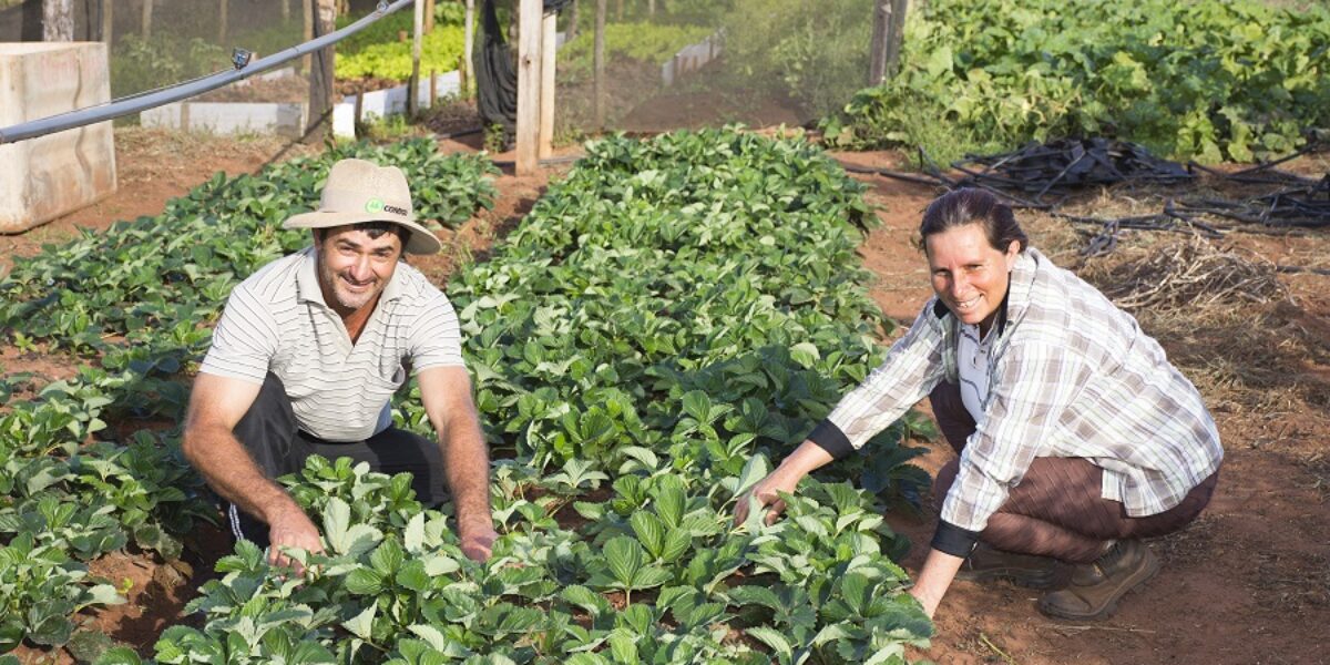 Seduce informa: Chamada Pública da Merenda Escolar para o PNAE