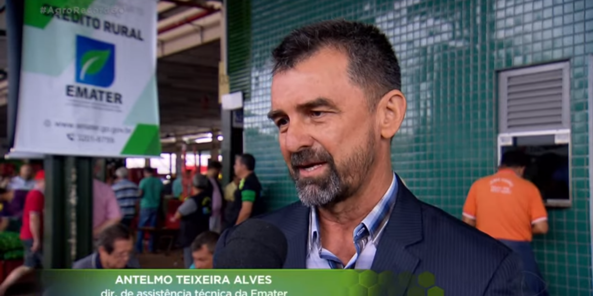 Ação da Emater na Ceasa-GO para esclarecer sobre DAP é destaque no programa Agro Record