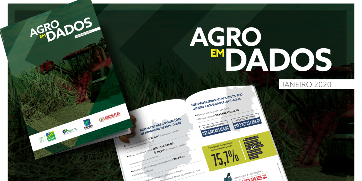 Renda anual de famílias assistidas pela Rede de Inovação Rural apresentou crescimento médio de 46%, aponta ‘Agro em Dados’