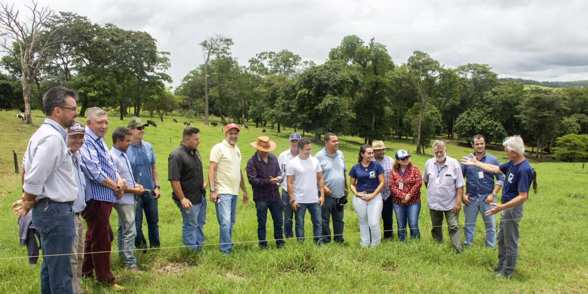 Fazenda em Abadia de Goiás tem aumento de mais de 1000% na produção leiteira após técnica de fertirrigação